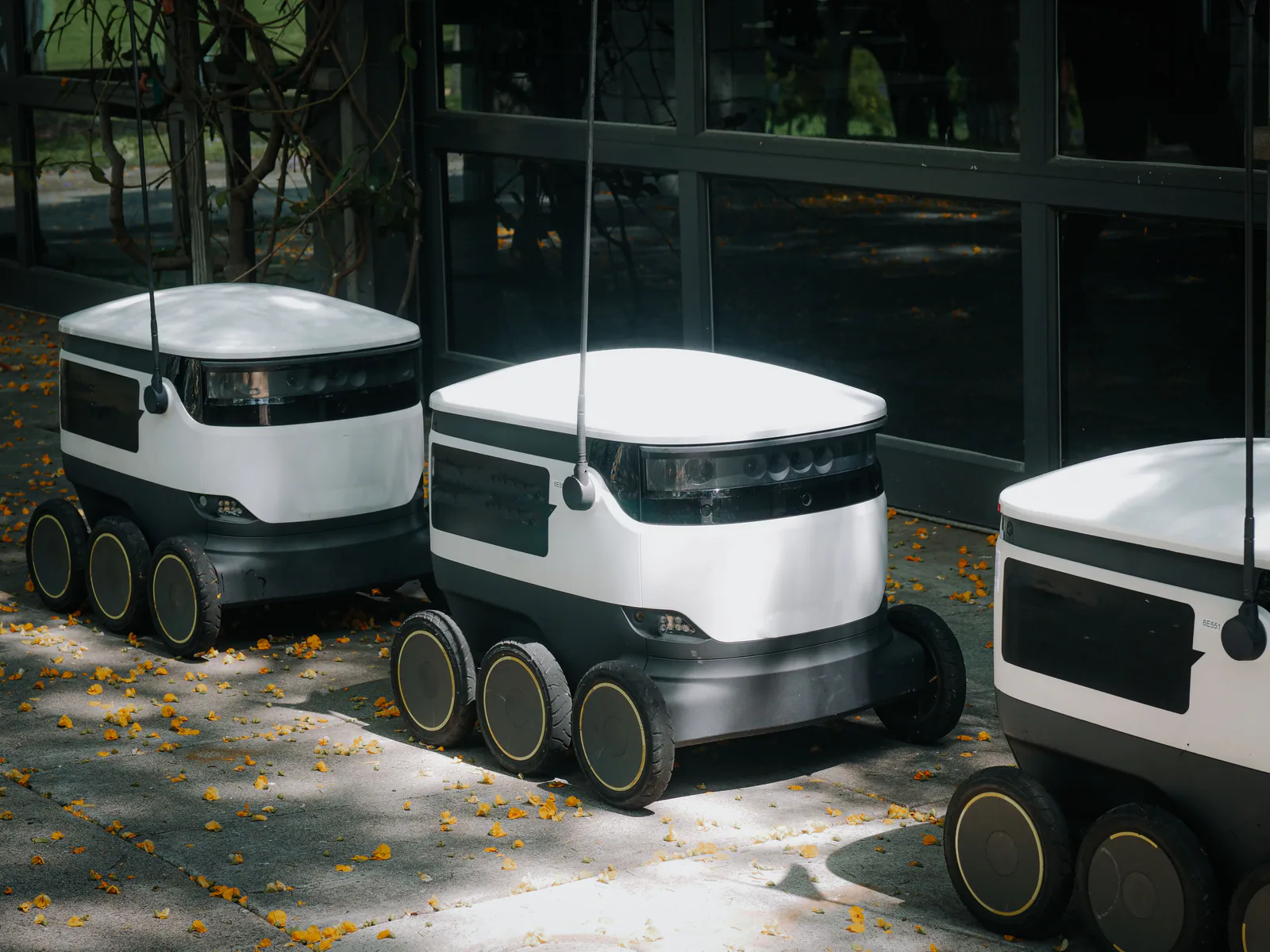 Autonomous delivery robots operating in modern Shenzhen